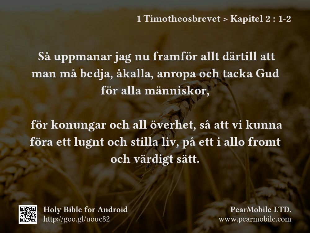 1 Timotheosbrevet, Kapitel 2:1-2